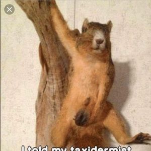 Meet your Posher, Aaron